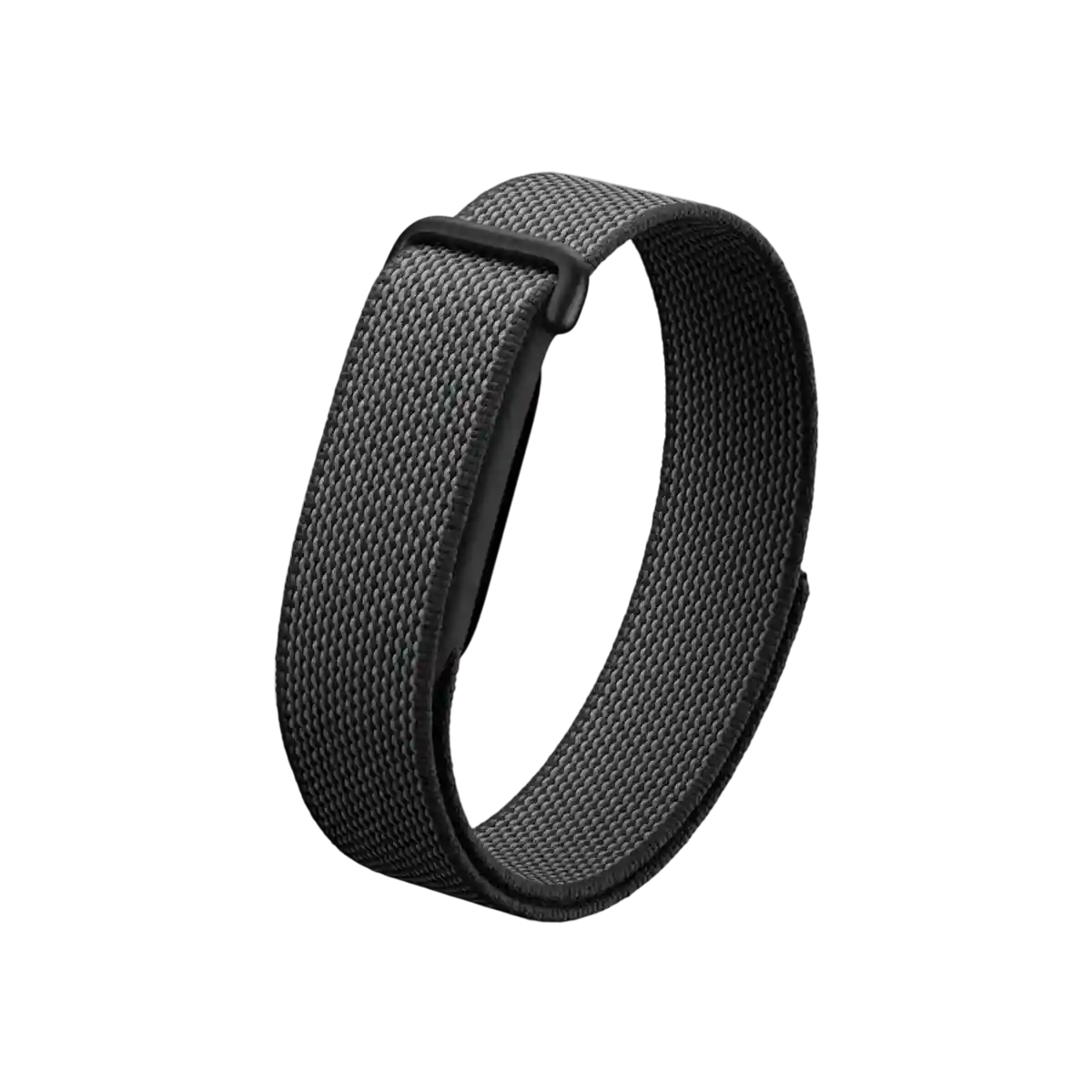 Google Fitbit Air