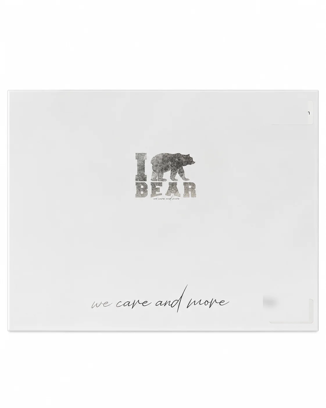 iBear DNA Screen Protector for MacBook